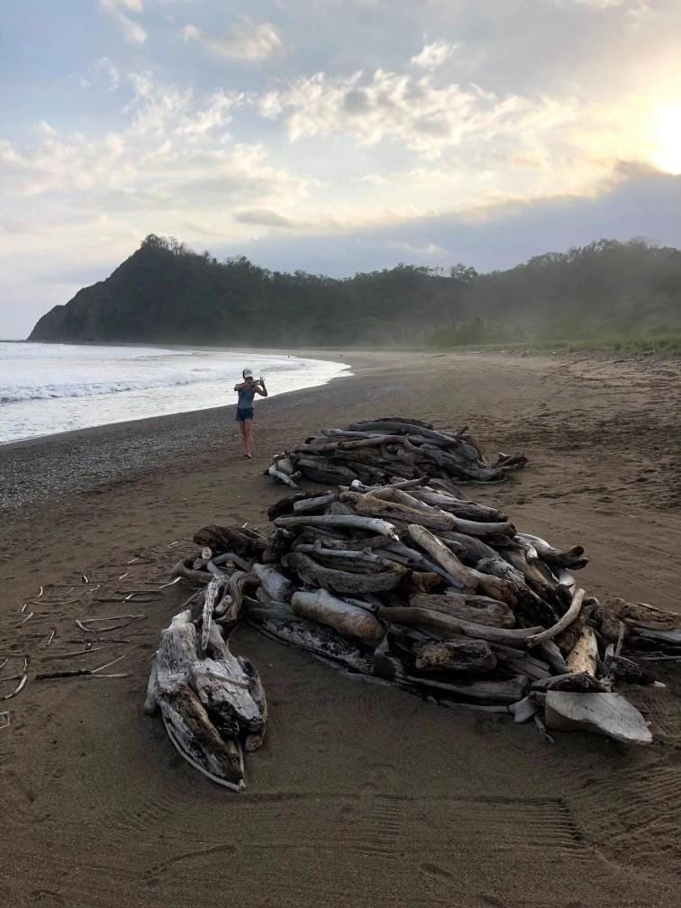 Vanishing Marine Sculptures, Playa Buena Vista, Esterones, Guanacaste, Costa Rica