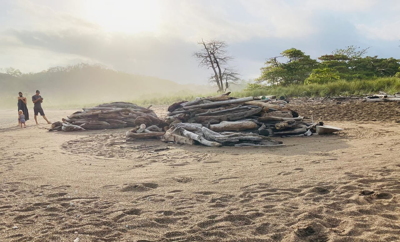 Vanishing Marine Sculptures, Playa Buena Vista, Esterones, Guanacaste, Costa Rica