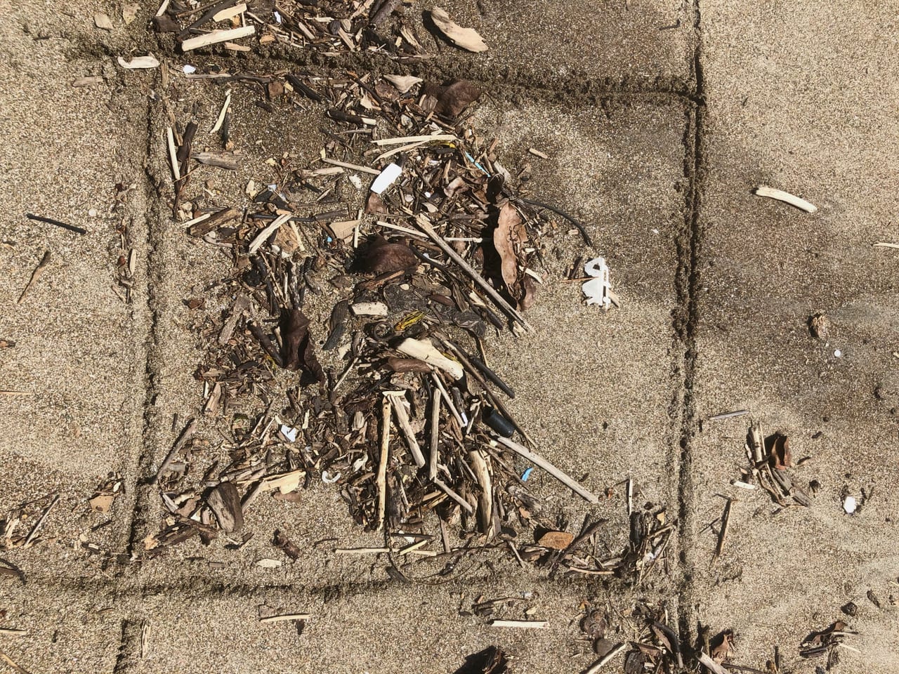Ocean Plastic Awareness, Playa Buena Vista, Costa Rica