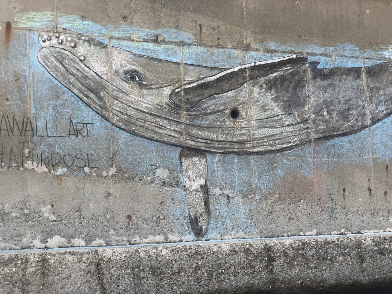 SeaWall_Art4aPurpose, Connecticut shoreline