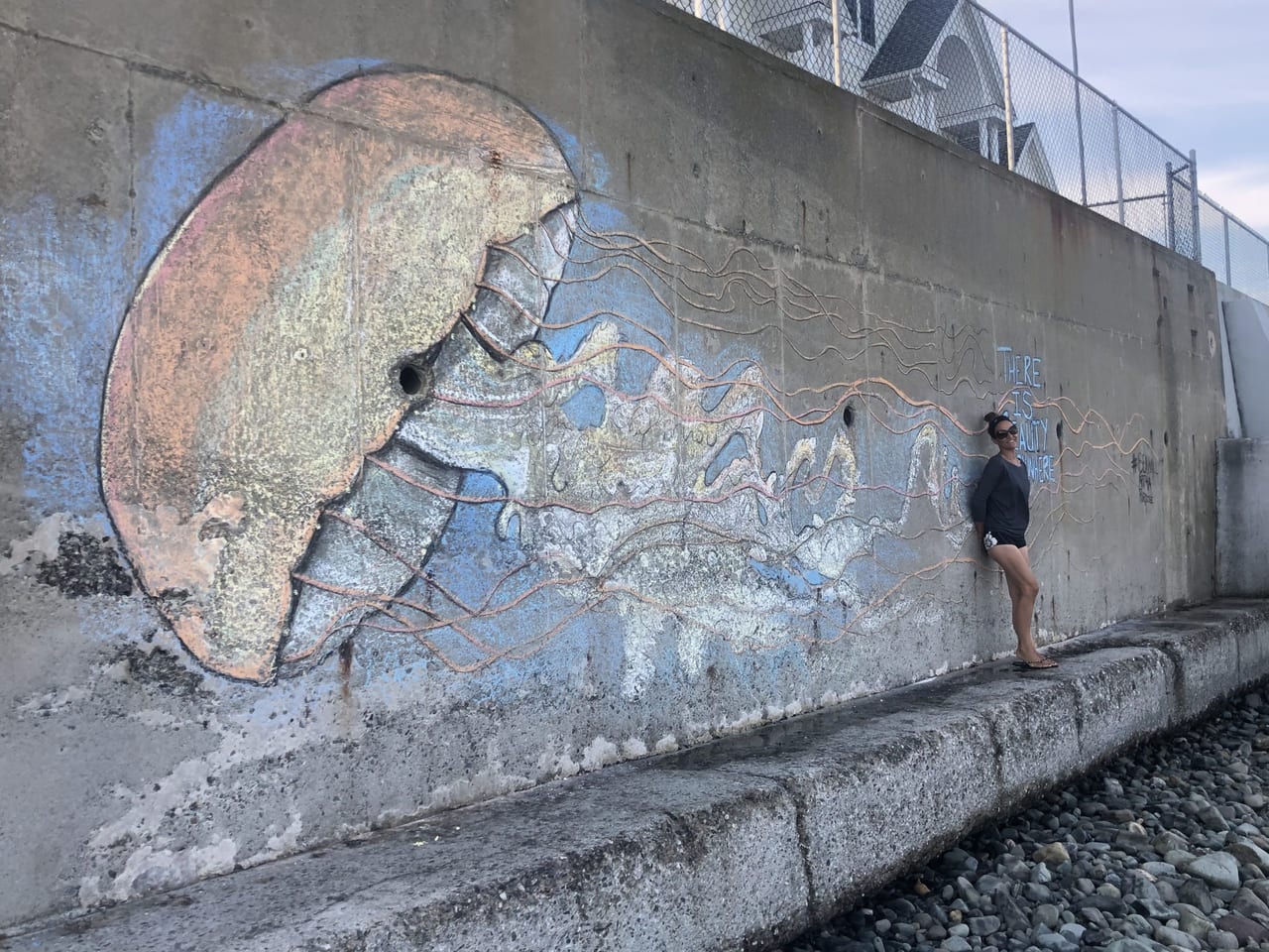 SeaWall_Art4aPurpose, Connecticut shoreline