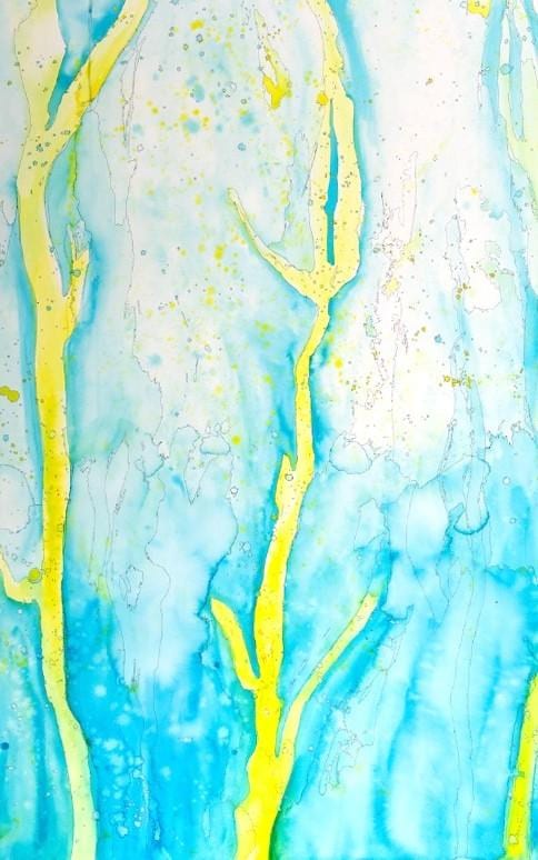 Seaweed Forest, Carriacou, 2024